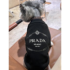 P brand embroidered sweater