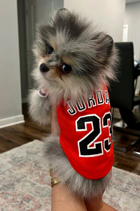 Game Time Jersey Top