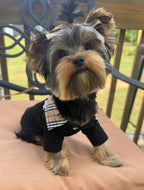 Preppy Pup Collar Top