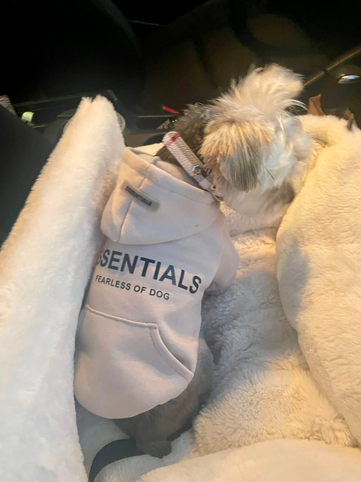Fearless of Dog Hoodies