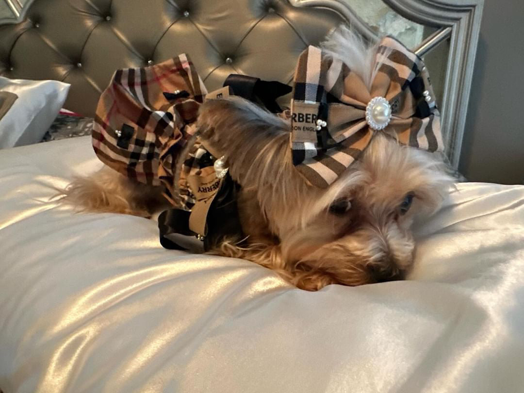 Pretty in Plaid Dog Outfit Top Skirt Set