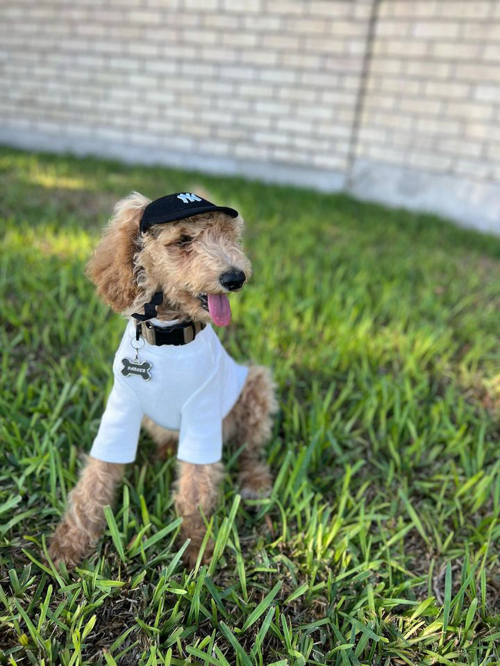 The Basics Soft Stretchy Everyday Dog Top