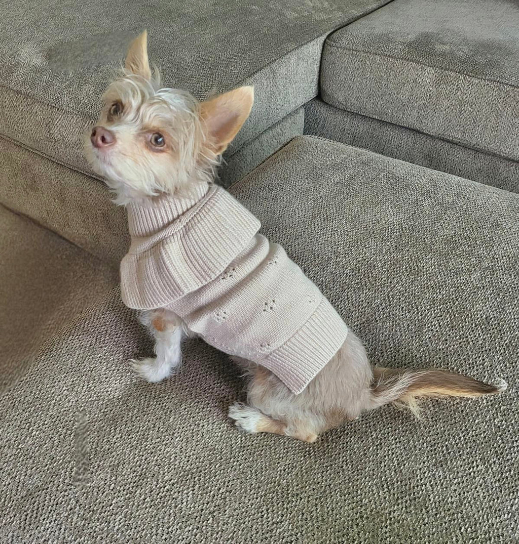 Lux Knit Ruffle Sweater
