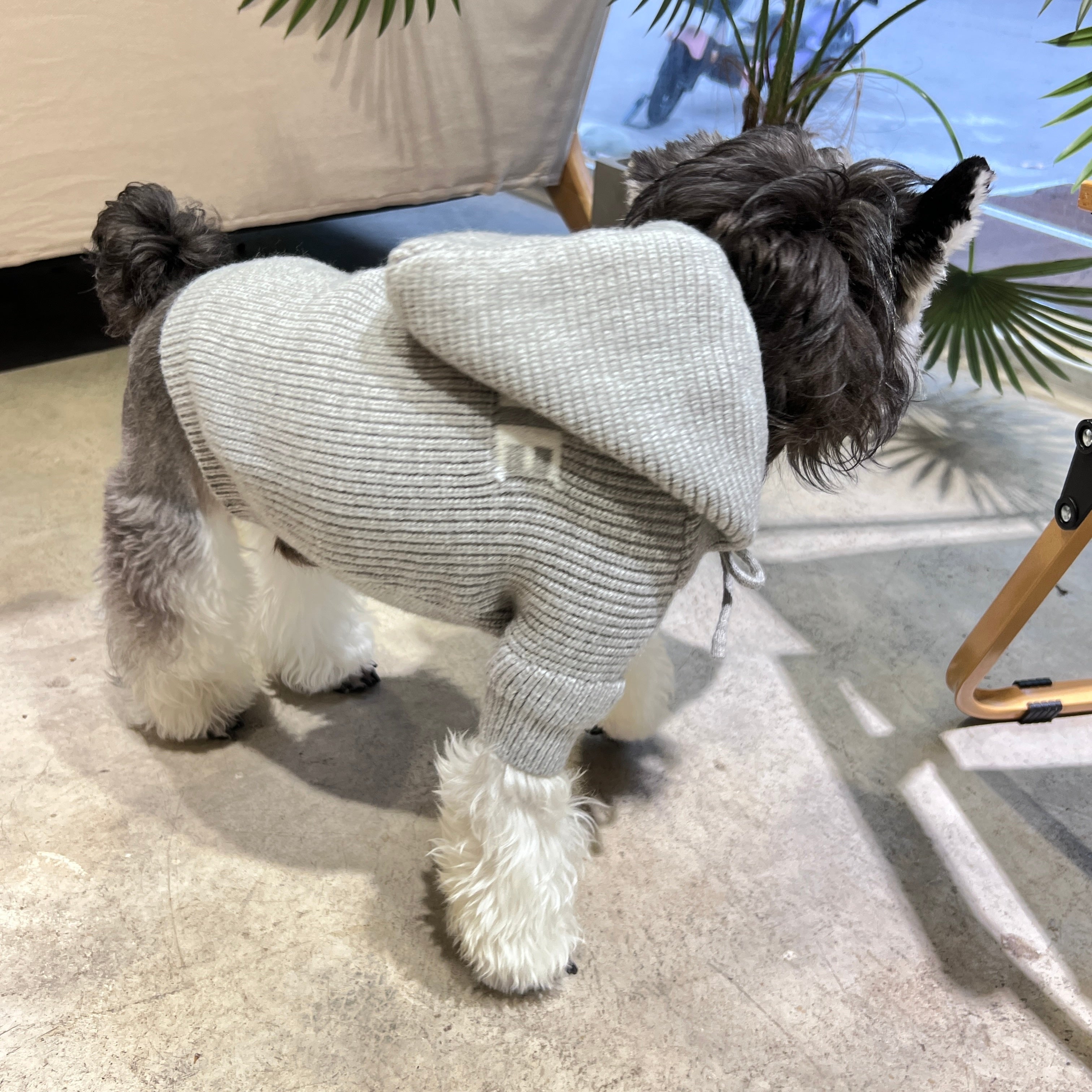 C Gray Sweater 047