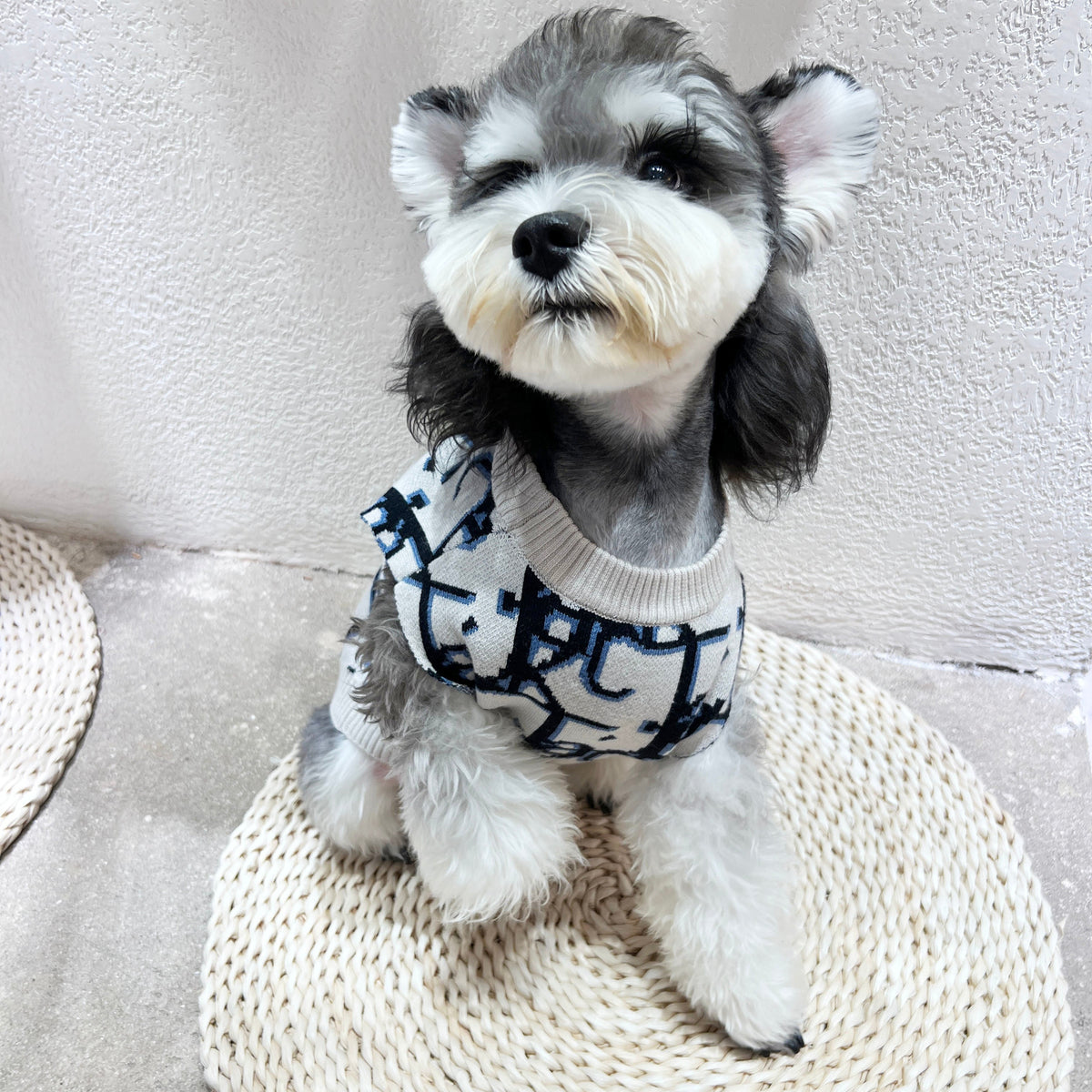 New White Sweater 049