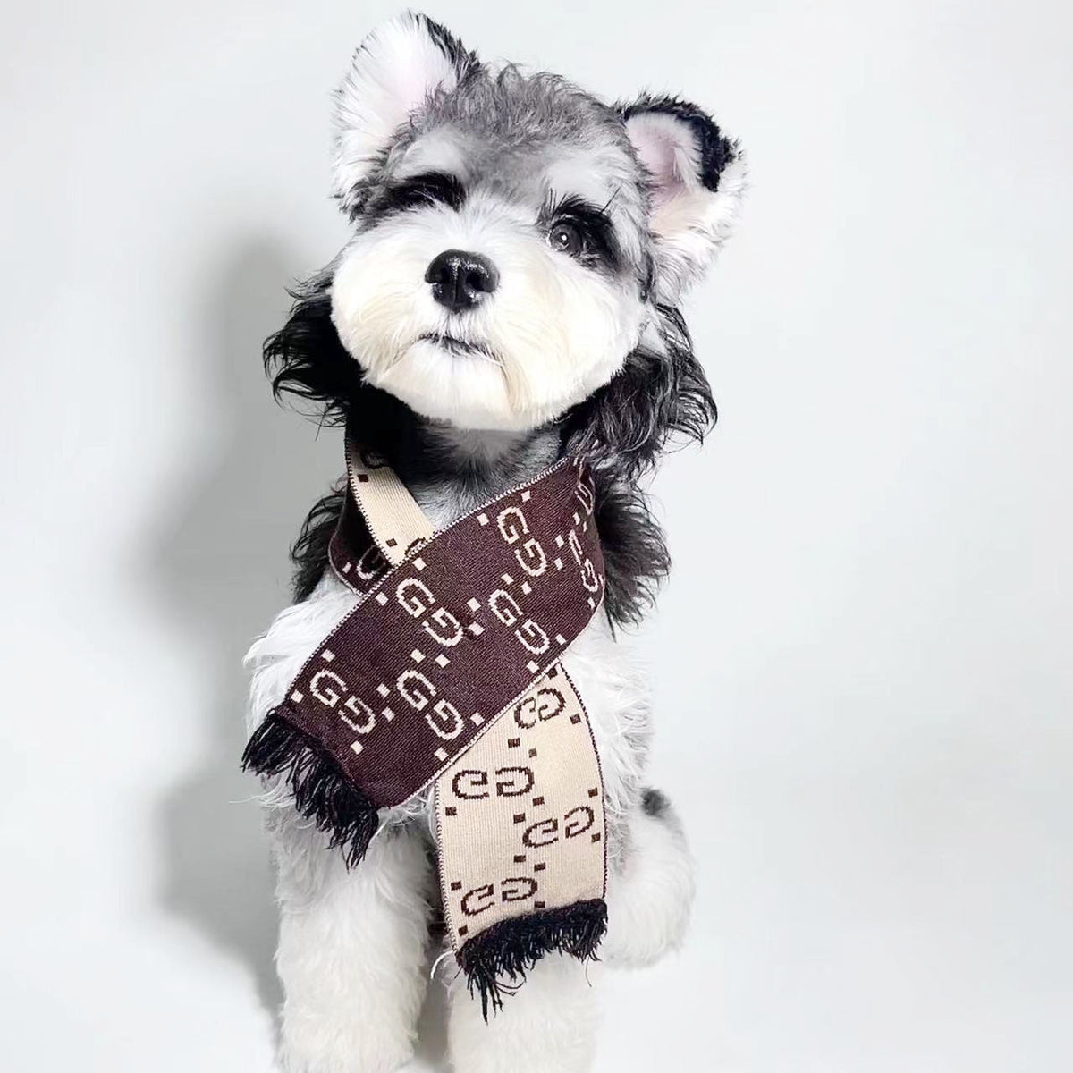 CH Letter Scarf 050