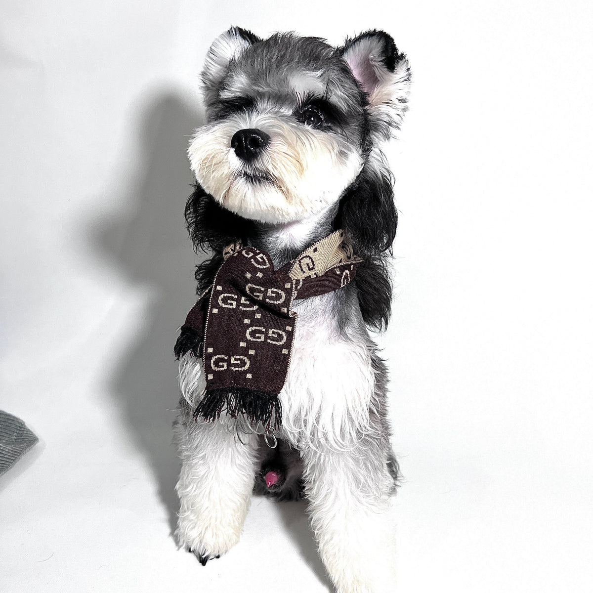 CH Letter Scarf 050