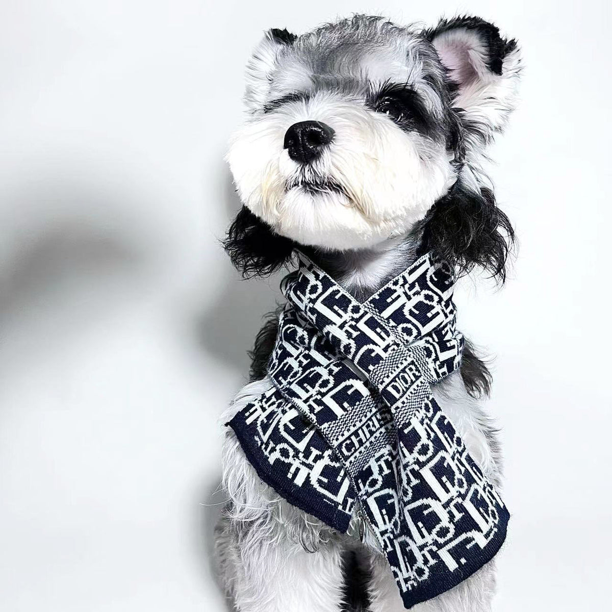 D Letter Scarf 053