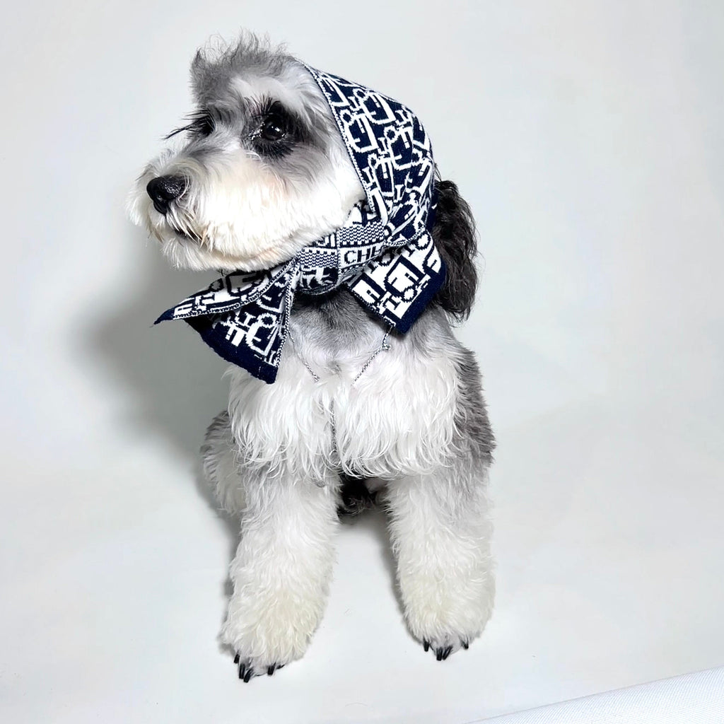 D Letter Scarf 053