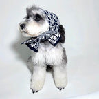 D Letter Scarf 053
