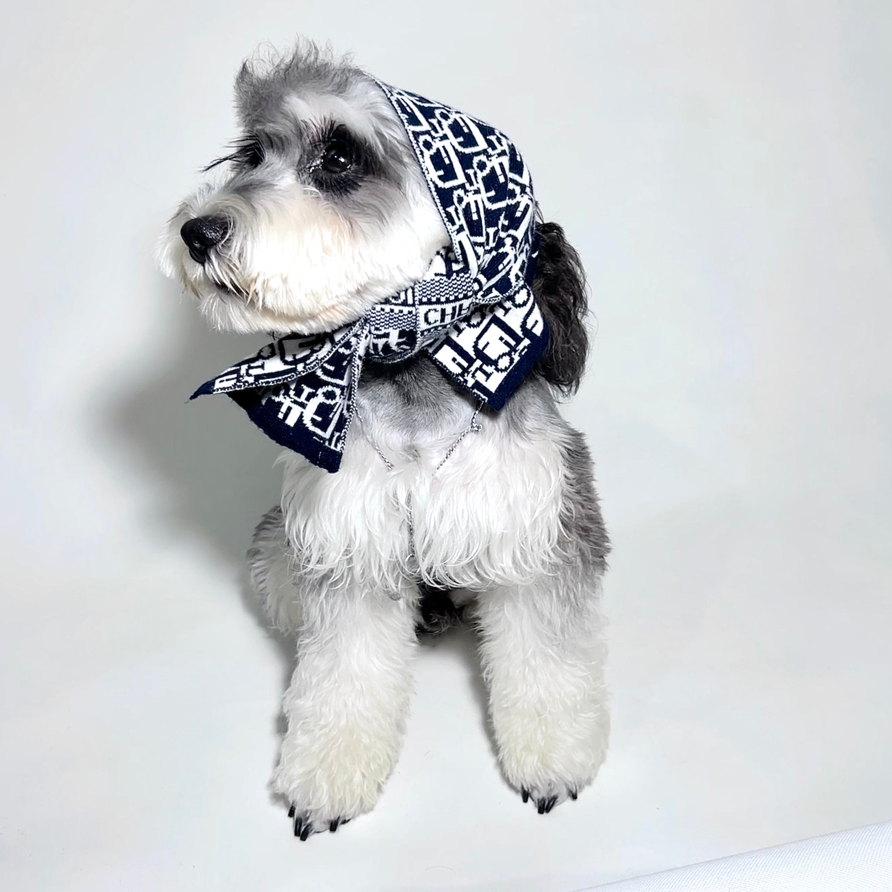 D Letter Scarf 053