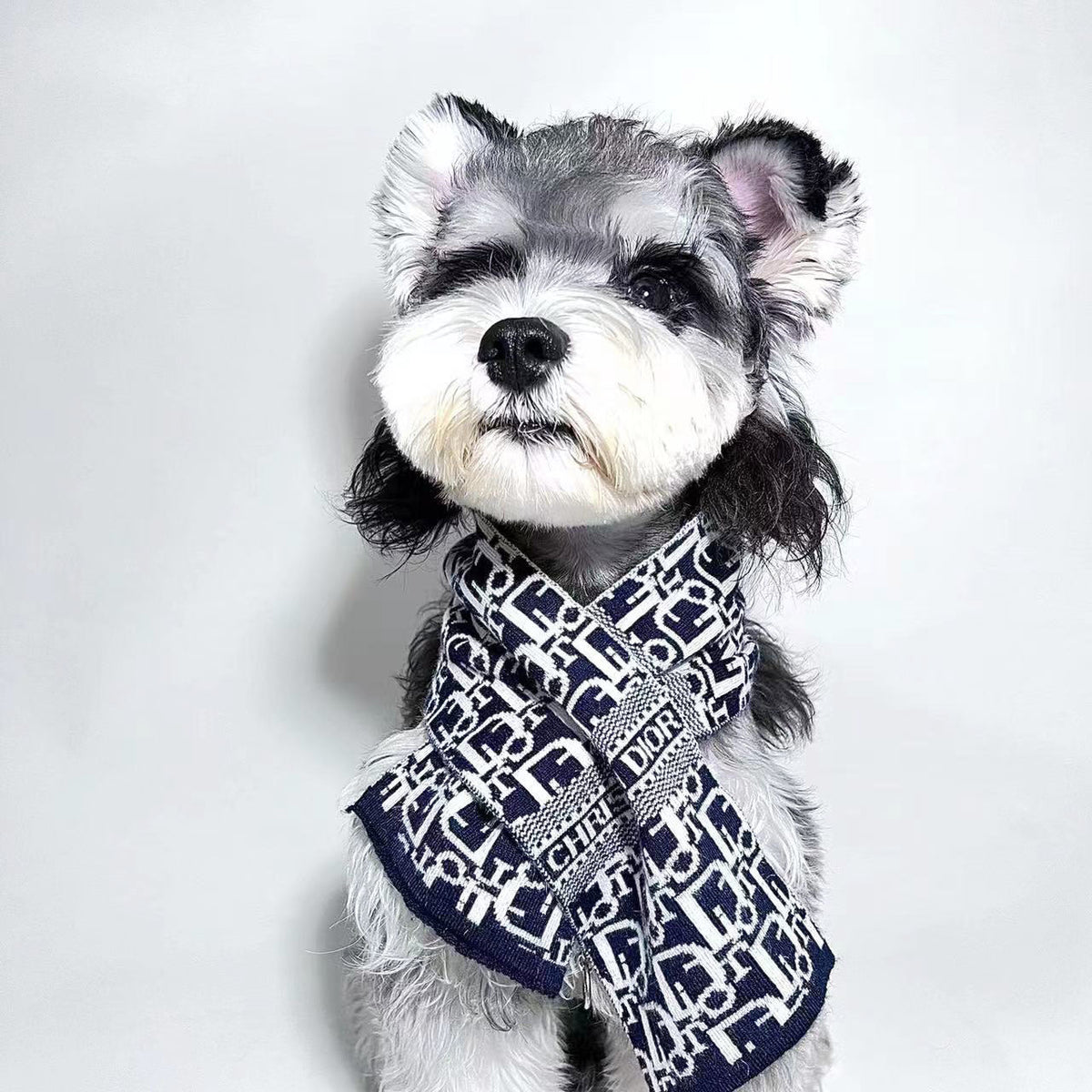 D Letter Scarf 053