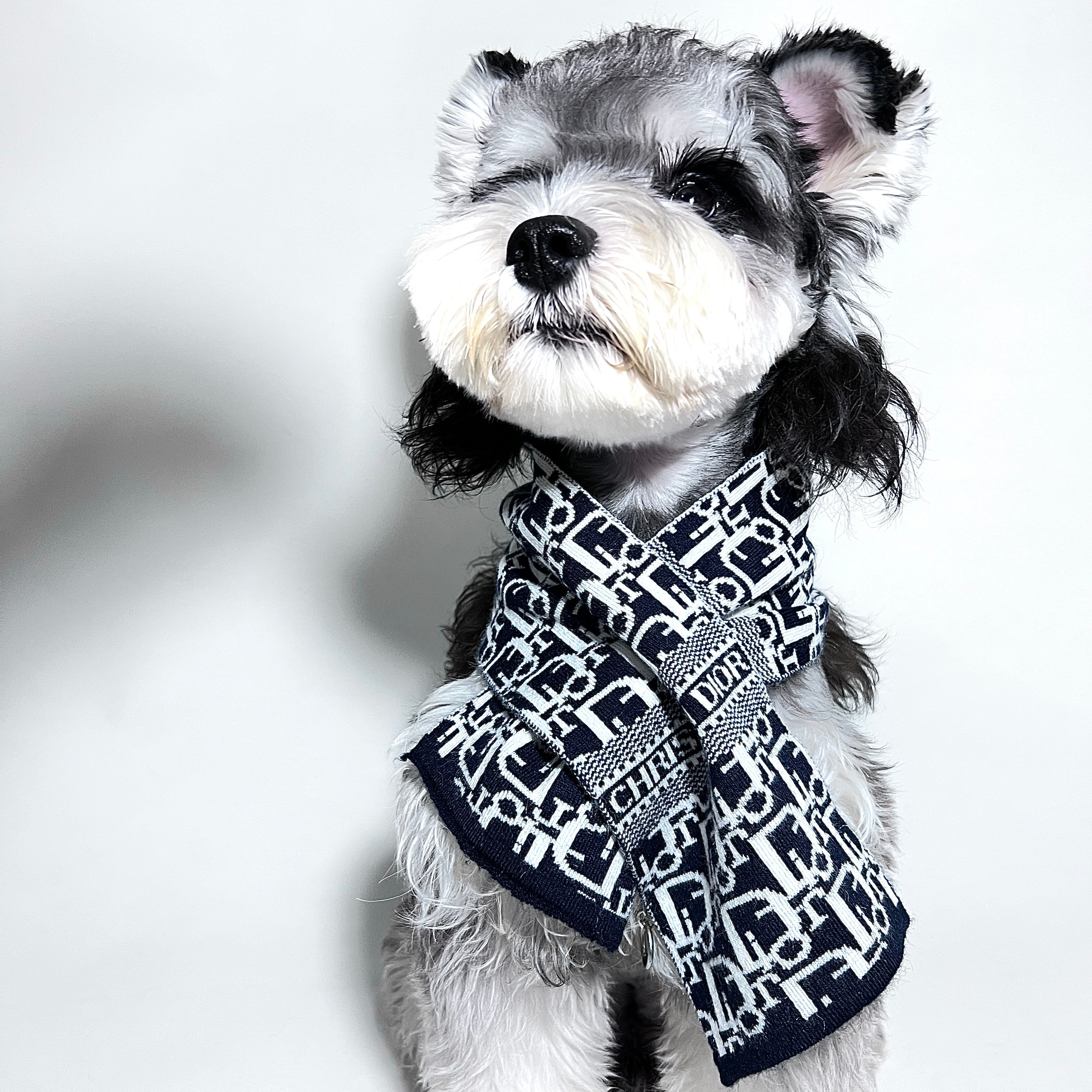 D Letter Scarf 053