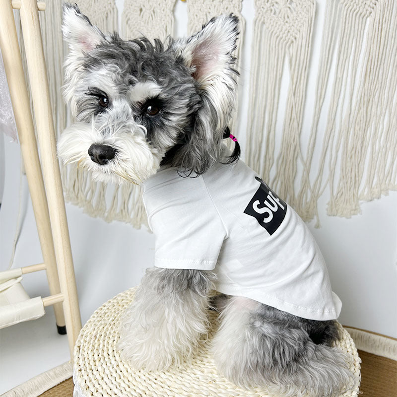 SP Letter Clothing 073 T-Shirt