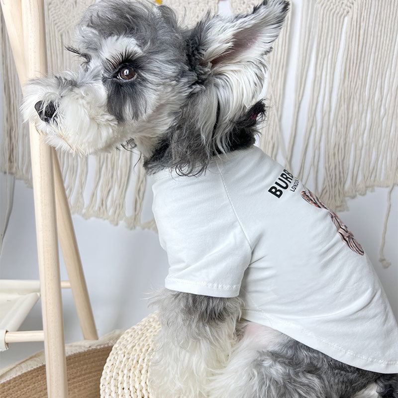 B Little Bear T-Shirt 083