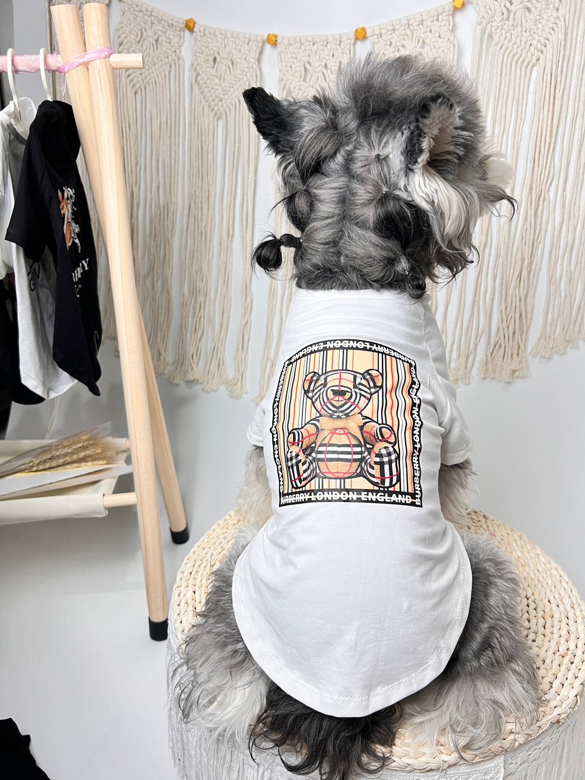 Little Bear T-Shirt 089