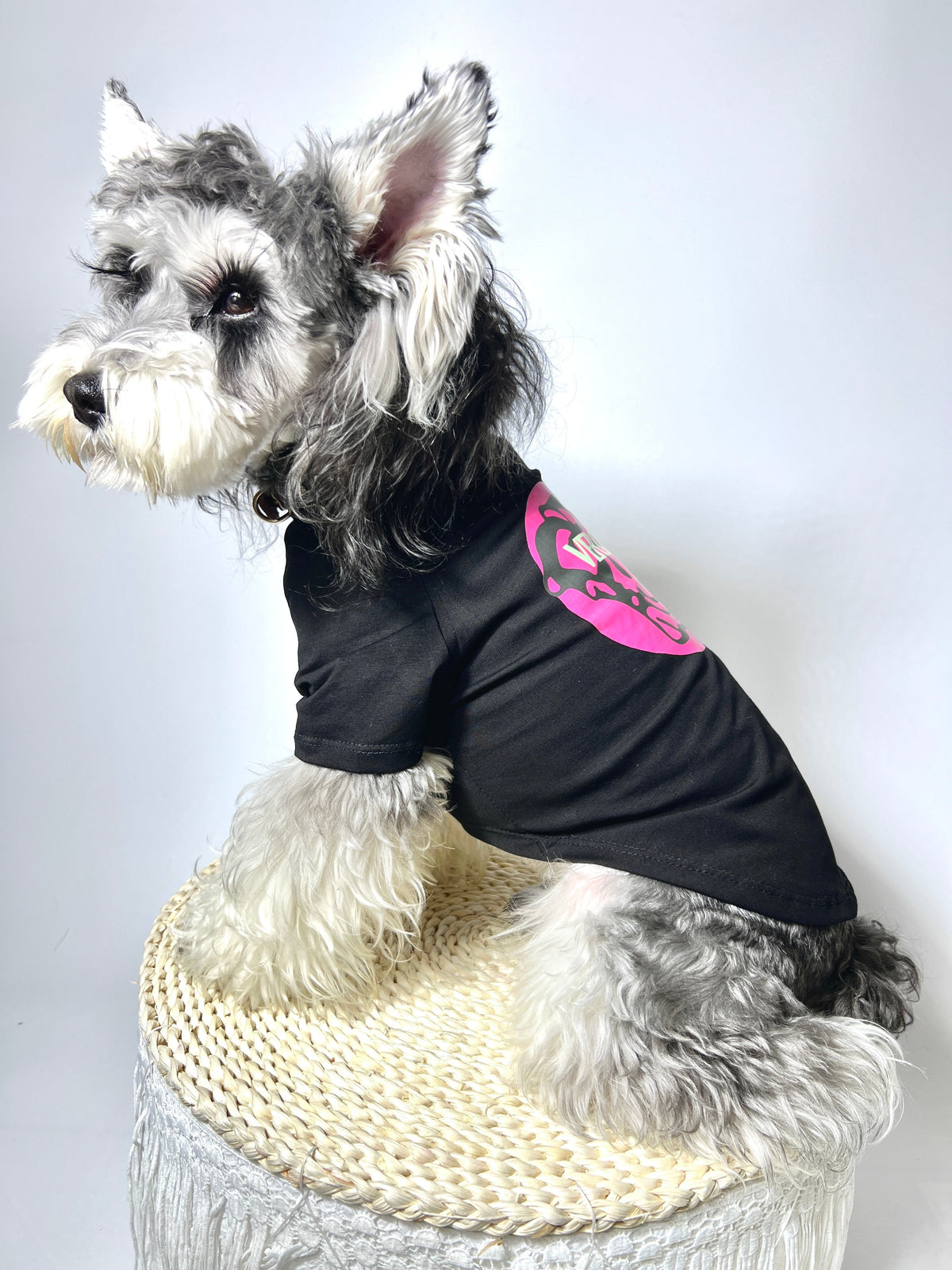 V Purple Icon Clothes 094 T-shirt