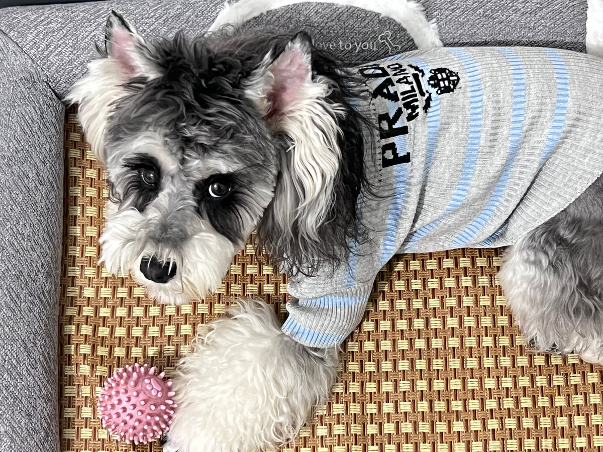 P Letter Sweater 096