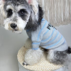 P Letter Sweater 096