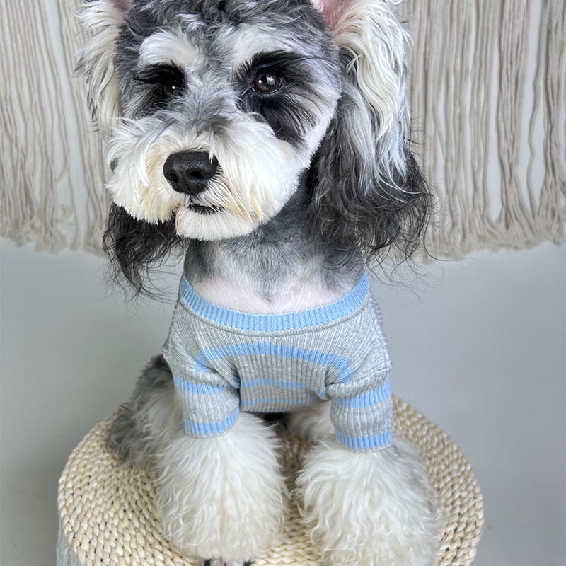 P Letter Sweater 096