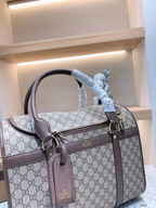 Pet Carrier Bag 111