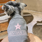 D Trending Letter Sweater