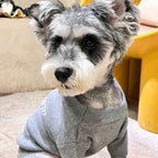 D Trending Letter Sweater
