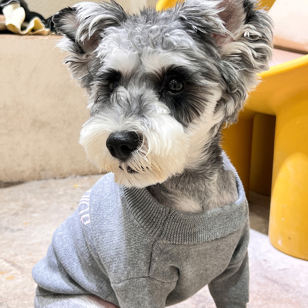 D Trending Letter Sweater