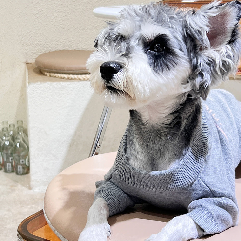 D Trending Letter Sweater