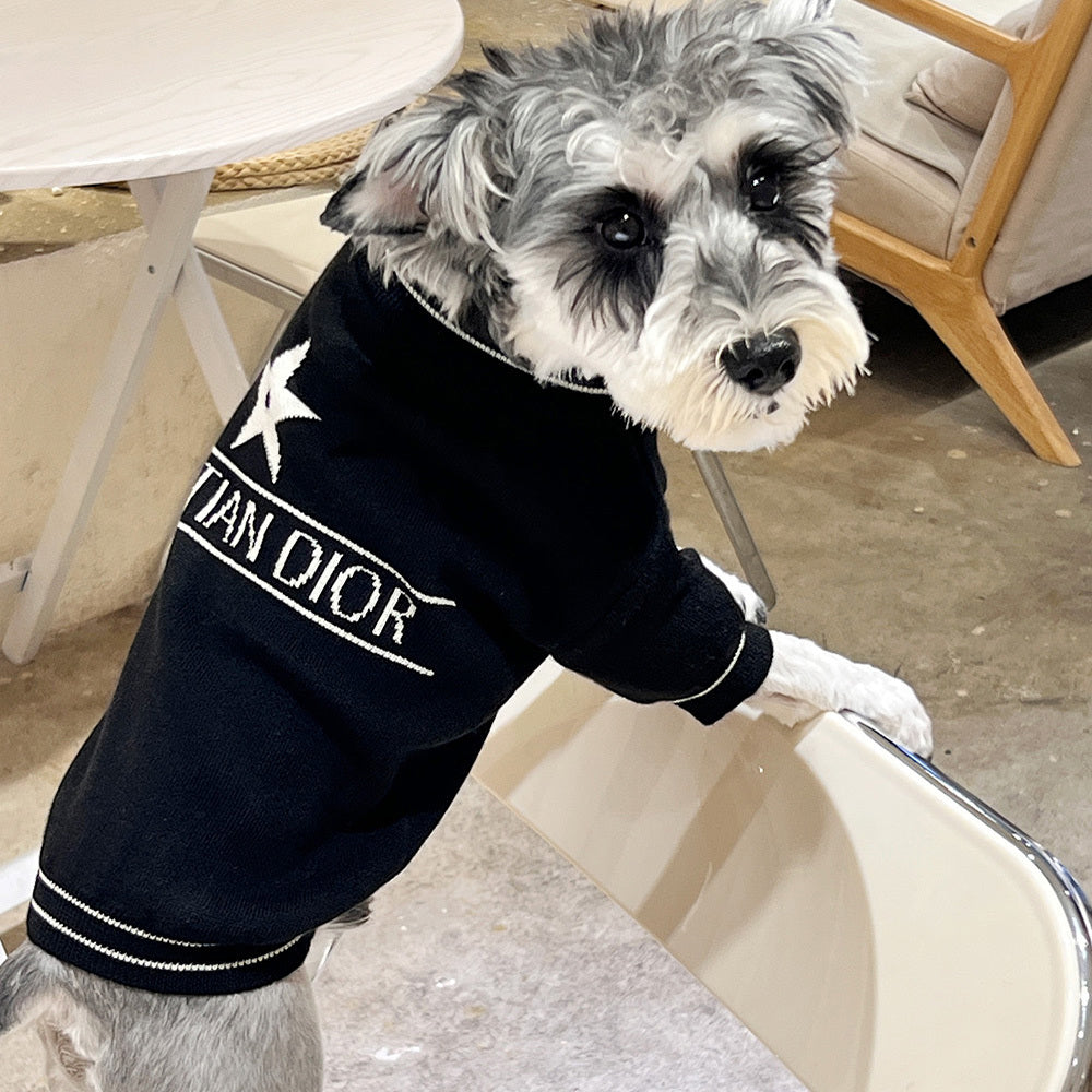 D Trending Letter Sweater