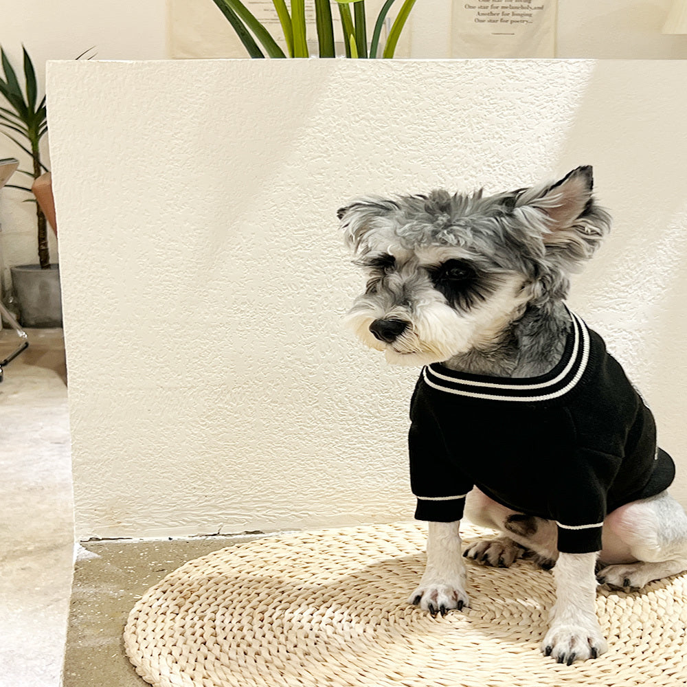 Black Skull Sweater