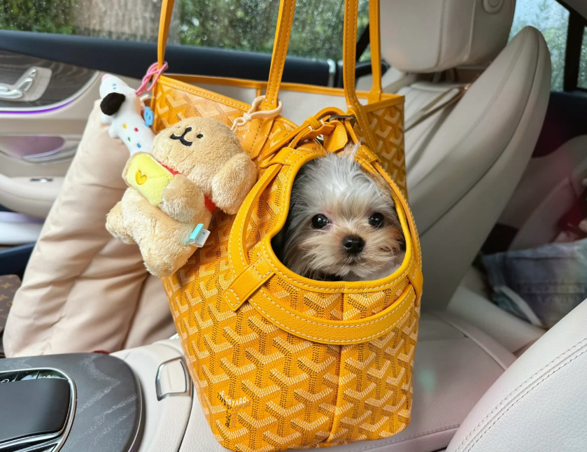 Dog Tooth Bag (6 Colors)