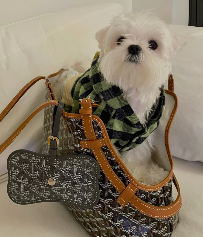 Dog Tooth Bag (6 Colors)