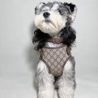 Popular Style Chest Harness 054