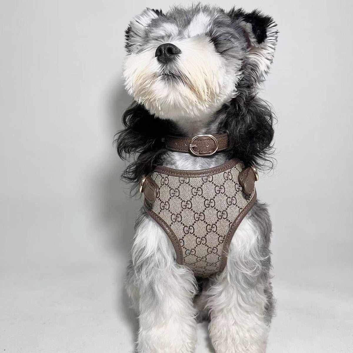 Popular Style Chest Harness 054
