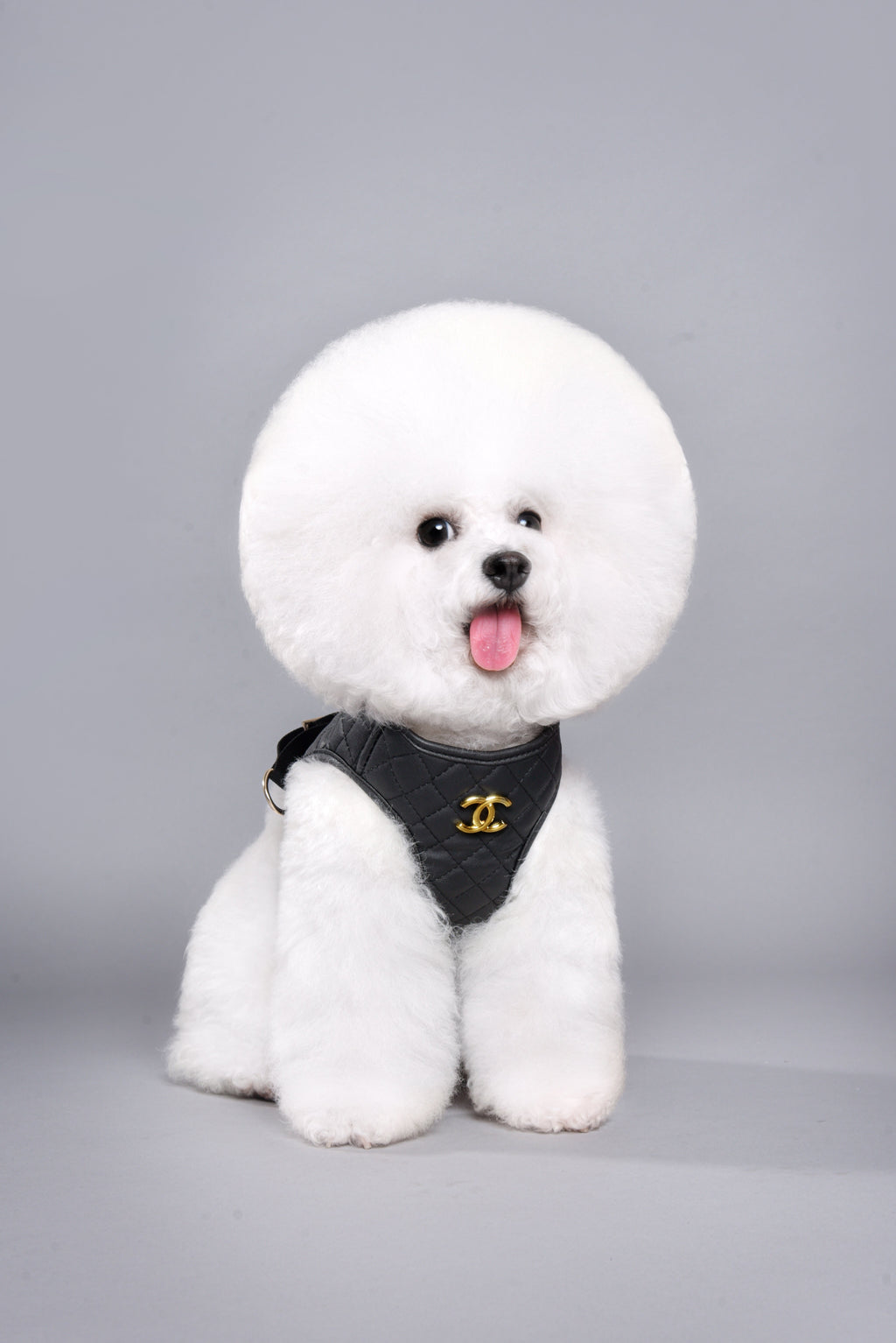 C Black Chest Harness 037