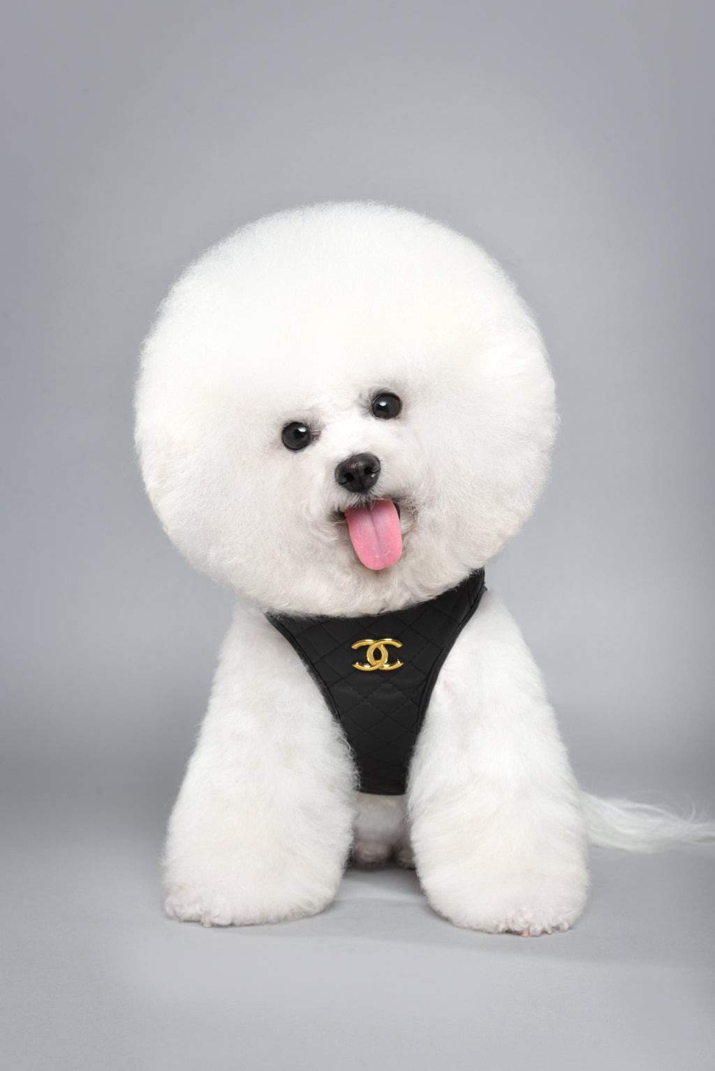 C Black Chest Harness 037