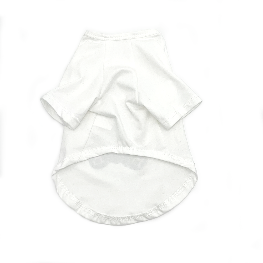 024 Teddy Bear T-shirt