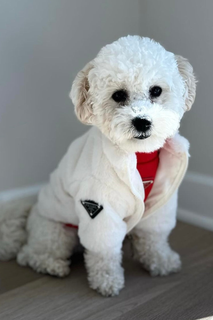 Luxurious Fur Coat  jacket