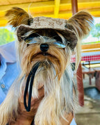 Gc Dog Bucket Hat