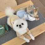 Chanel hoodie sweater