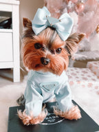 Pa Lu Bow Hair Accessories