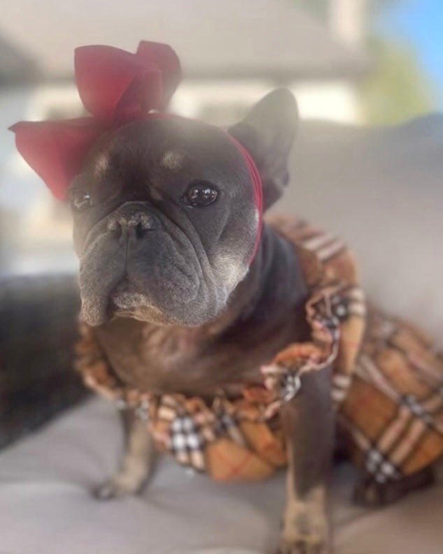 Pretty in Plaid Dog Outfit Top Skirt Set