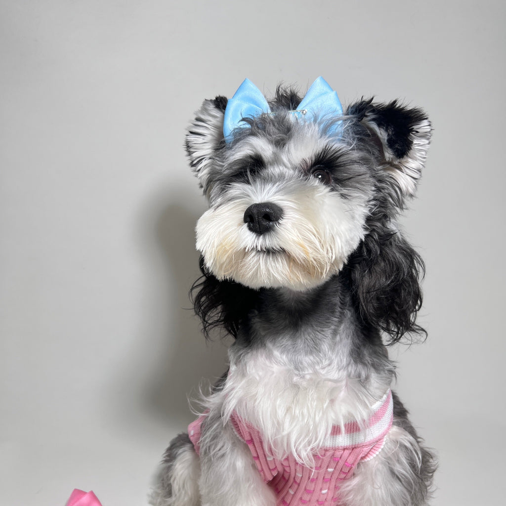 Multicolor Bow 066-Accessories