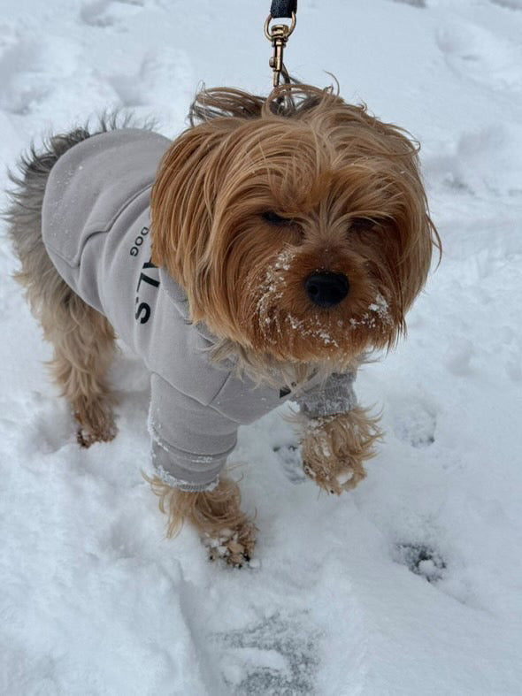 Fearless of Dog Hoodies