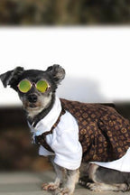 Furry Vuiton Brown Dress