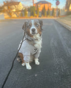 Fearless of Dog Hoodies