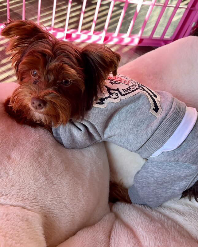 Bonecler Sweatsuit  Rompers