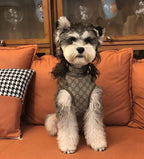 Popular Style Chest Harness 054