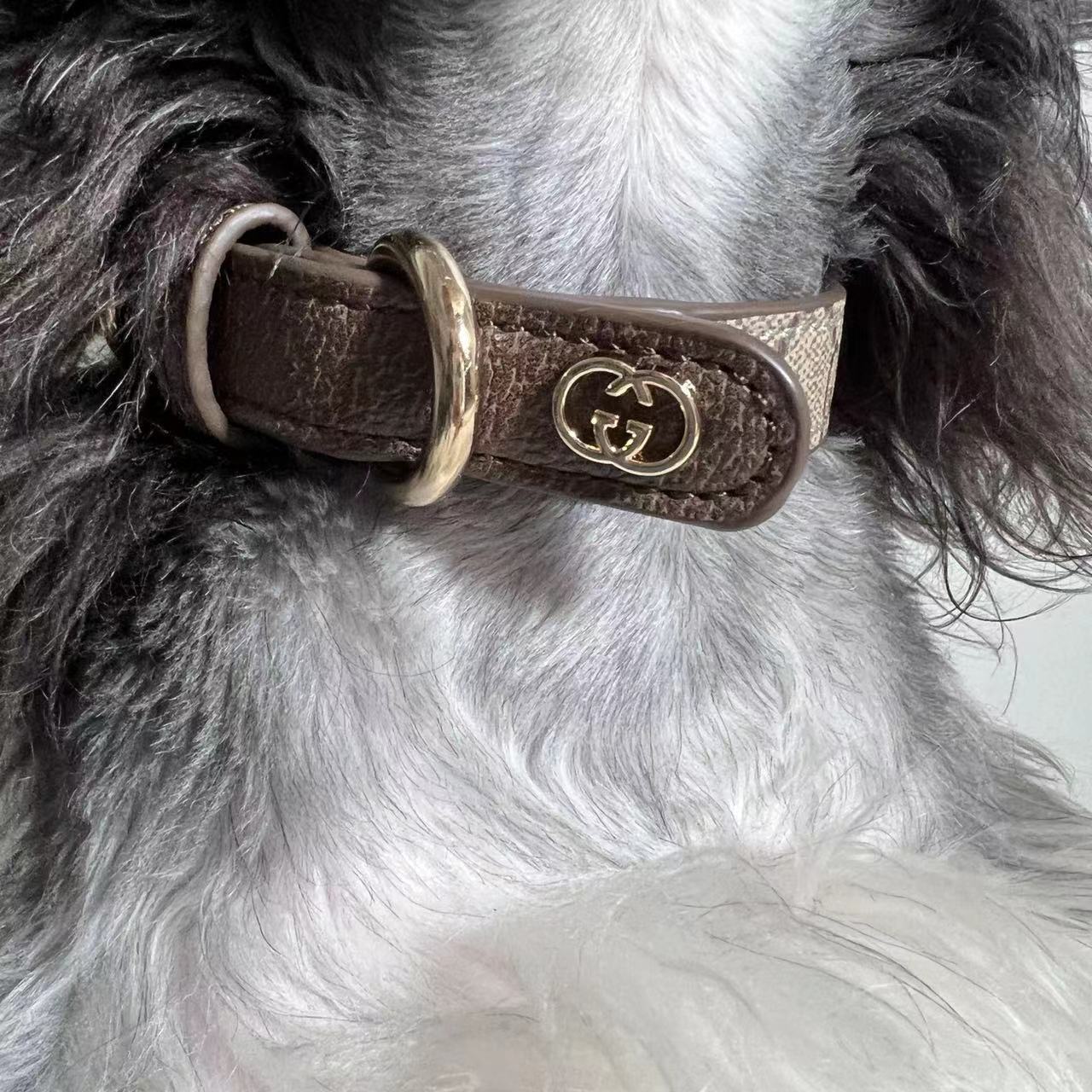 Popular Style Chest Harness 054